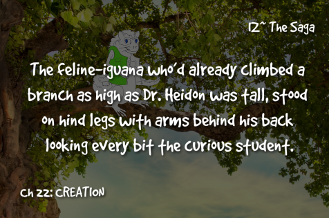 8-26 Curious student in a tree_ Ch 22.png