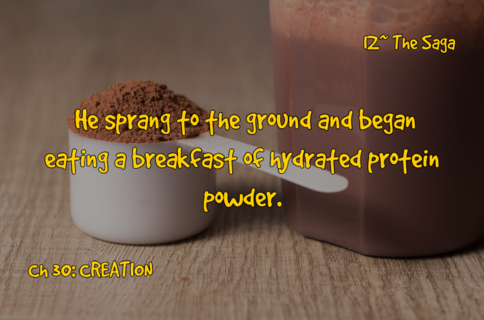 02_Protein_Powder_Ch_30 (02-14).png
